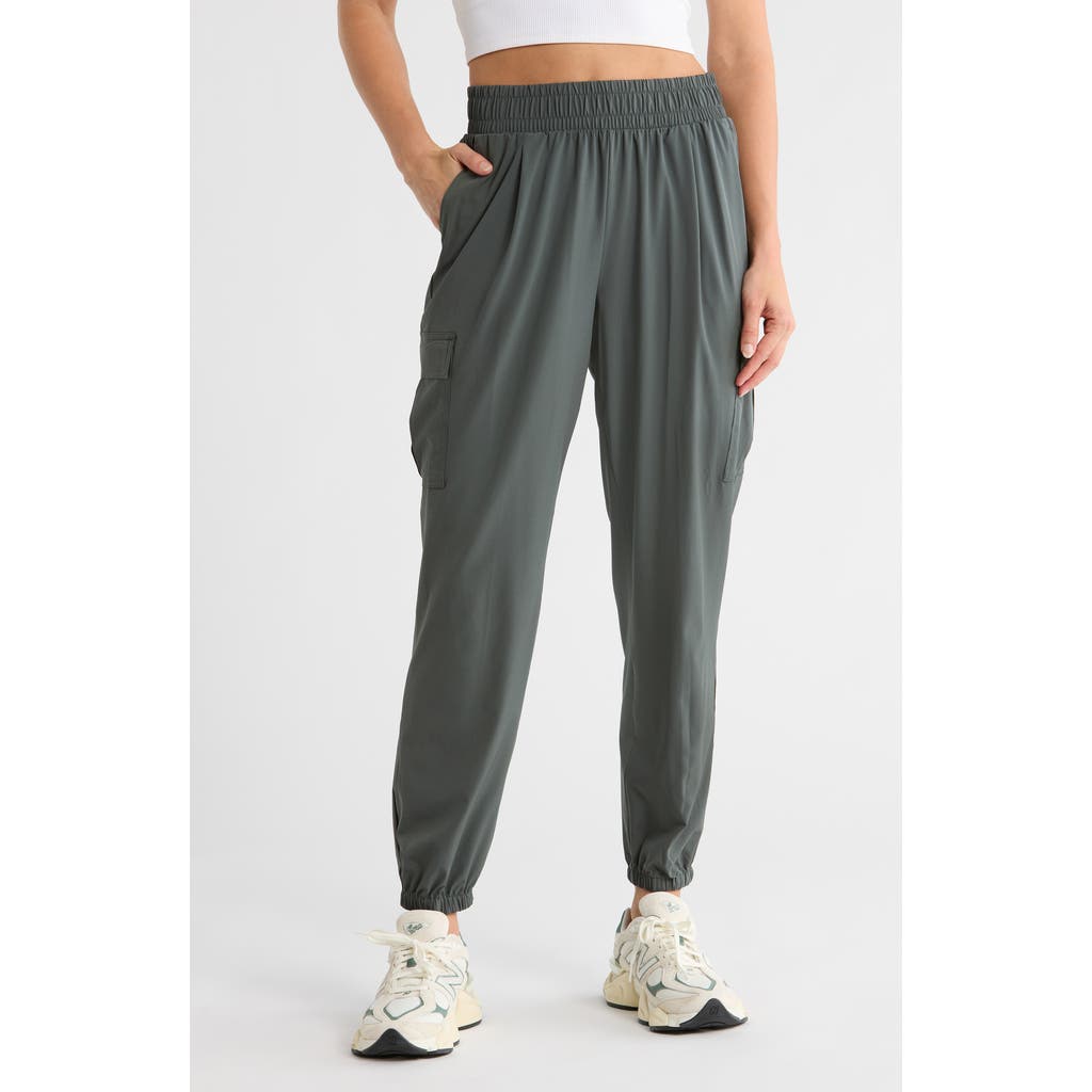 Apana Villa Cargo Joggers In Gray