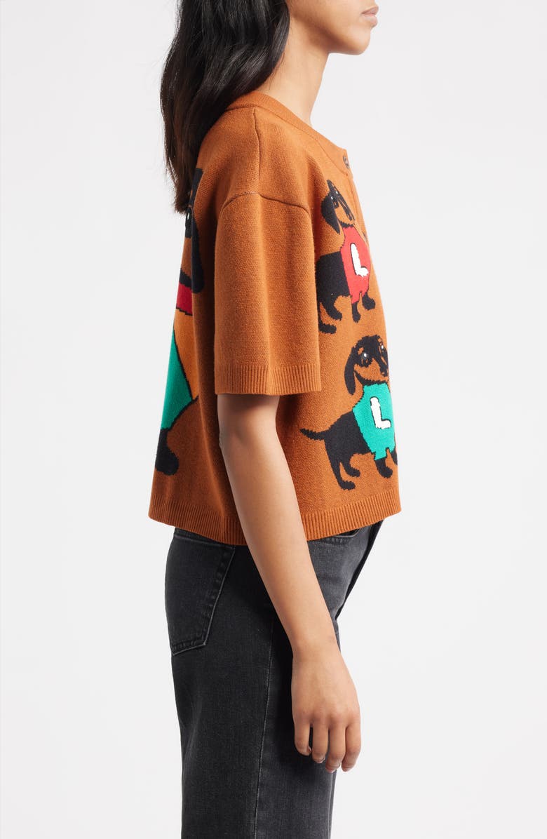 Dressed in Lala Weenie Dog Cardigan, Alternate, color, Brown