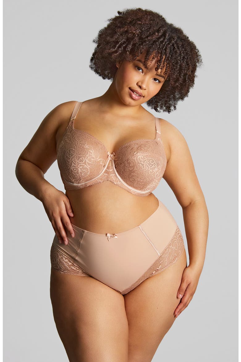 Estel High Waist Lace Trim Briefs, Alternate, color, HONEY