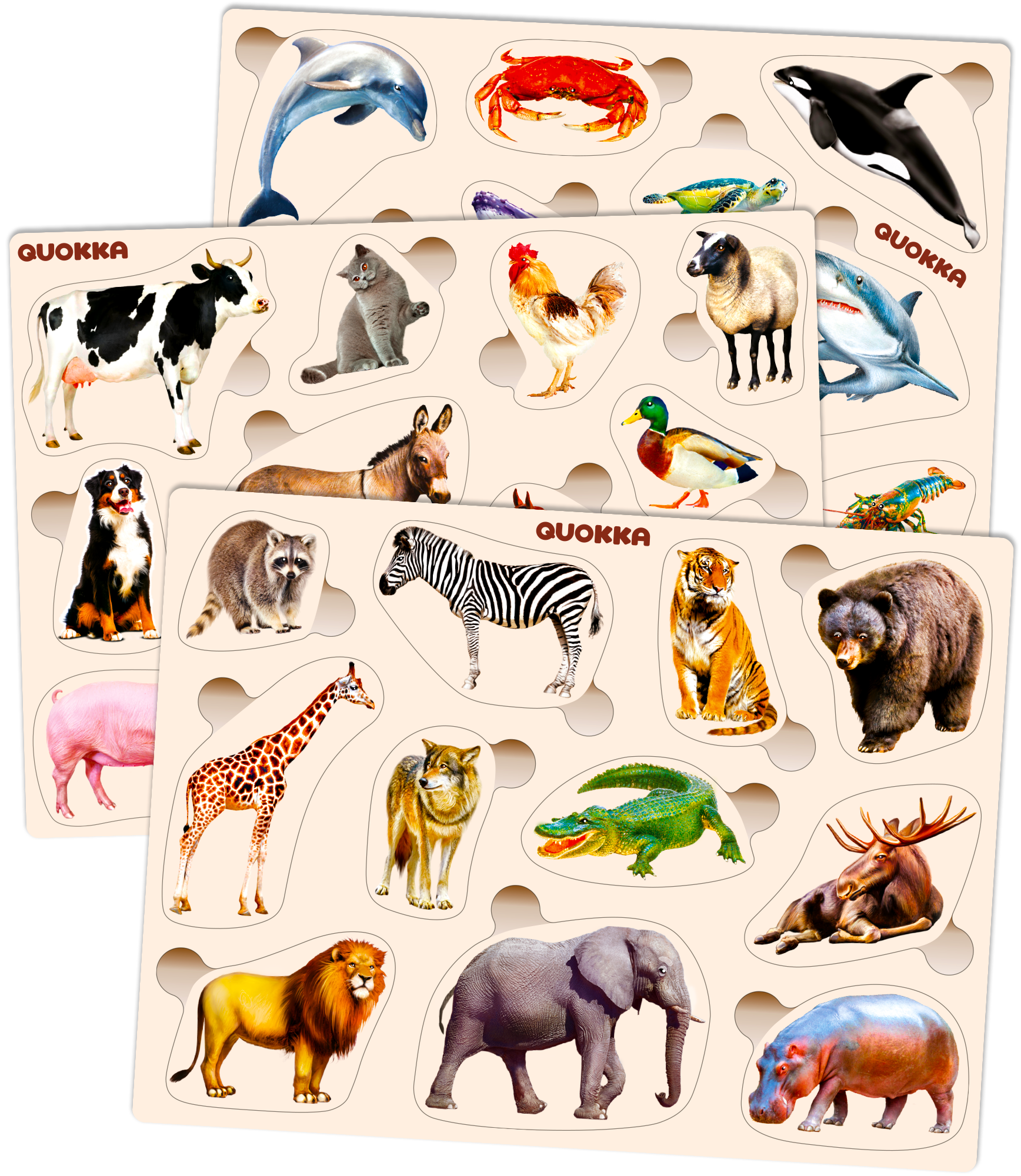 selected Realistic animals
