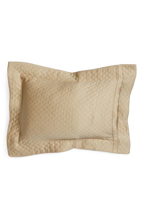 Sferra Bari Boudoir Sham In Taupe