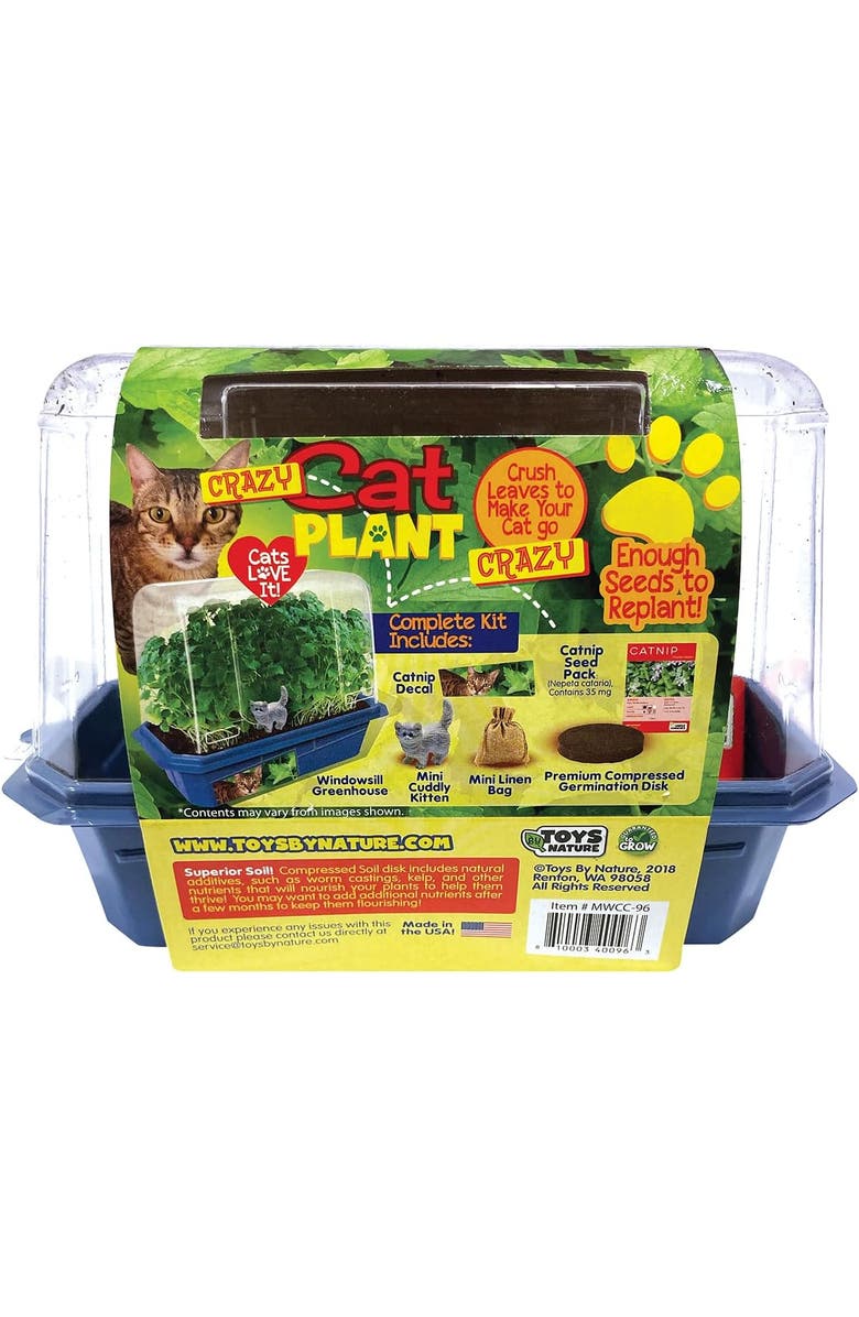 Toys By Nature Miniature Worlds Organic Catnip Windowsill Terrarium Starter Kit, Complete Supplies and Easy-to-Grow Indoor Plants, Alternate, color, NO COLOR