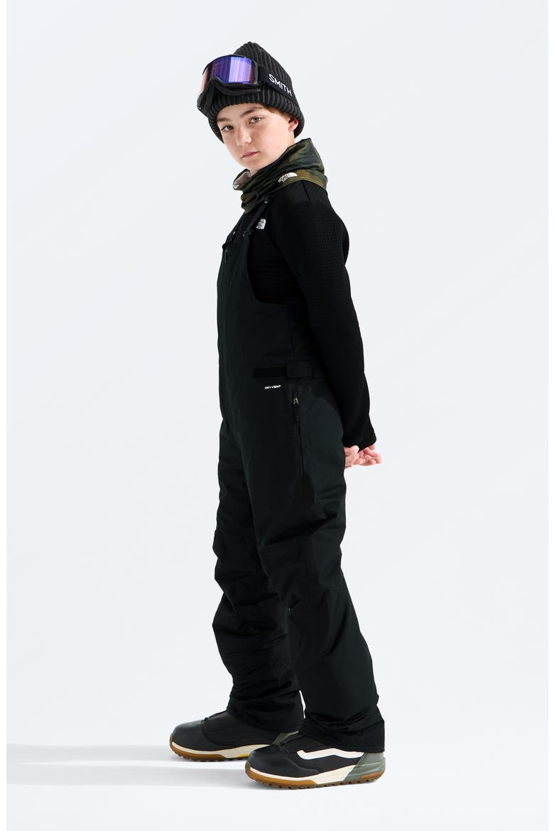 Kids' Freedom Waterproof Insulated Recycled Polyester Snow Bib, Alternate, color, TNF BLACK