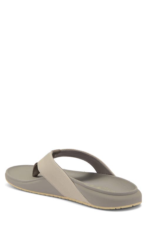 REEF REEF THE RAGLAN FLIP FLOP