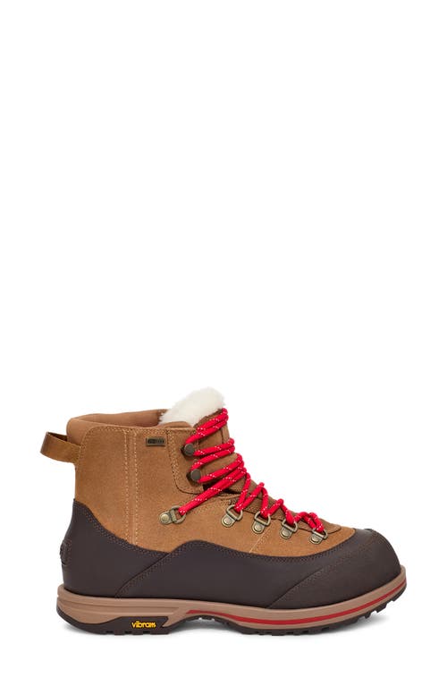 Ugg Short Rubber Sole Pull Tab Boots In Chestnut