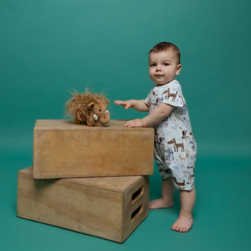 Norani Baby Organic Romper In Dogs