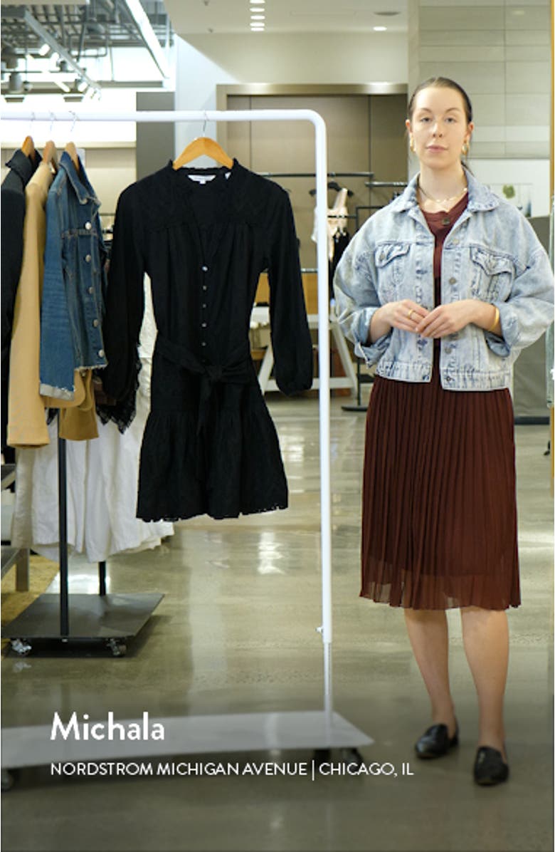 Chrisjen Embroidered Cotton Minidress, sales video thumbnail