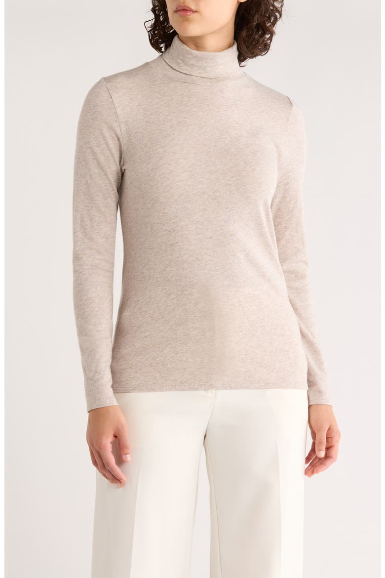 Long Sleeve Turtleneck Top, Main, color, DOVE
