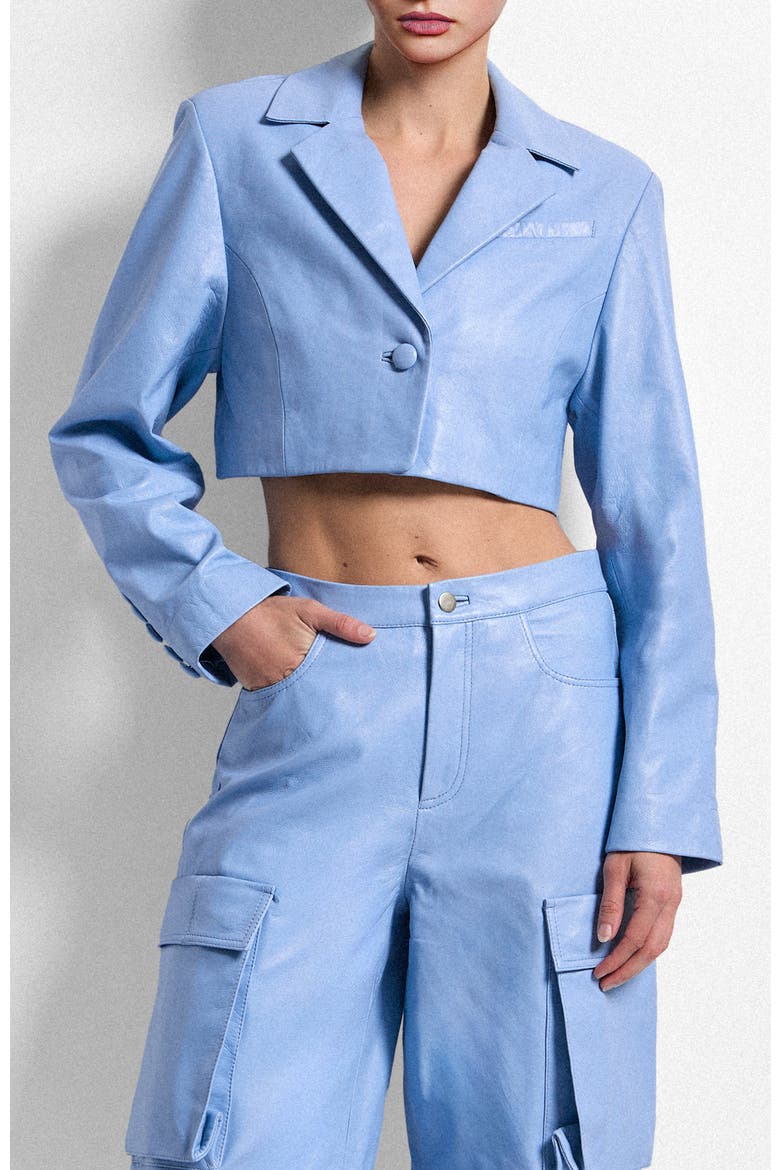 Poppy Leather Blazer, Main, color, PROVENCE BLUE