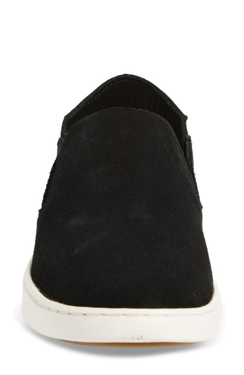 Olukai Pehuea Luxe Convertible Sneaker In Brown
