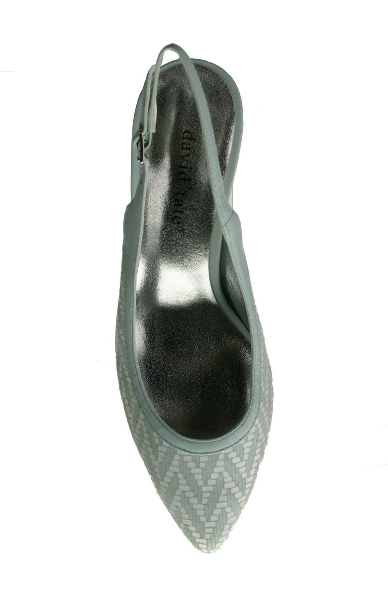 David Tate Bella Pointed Toe Slingback Pump, Alternate, color,