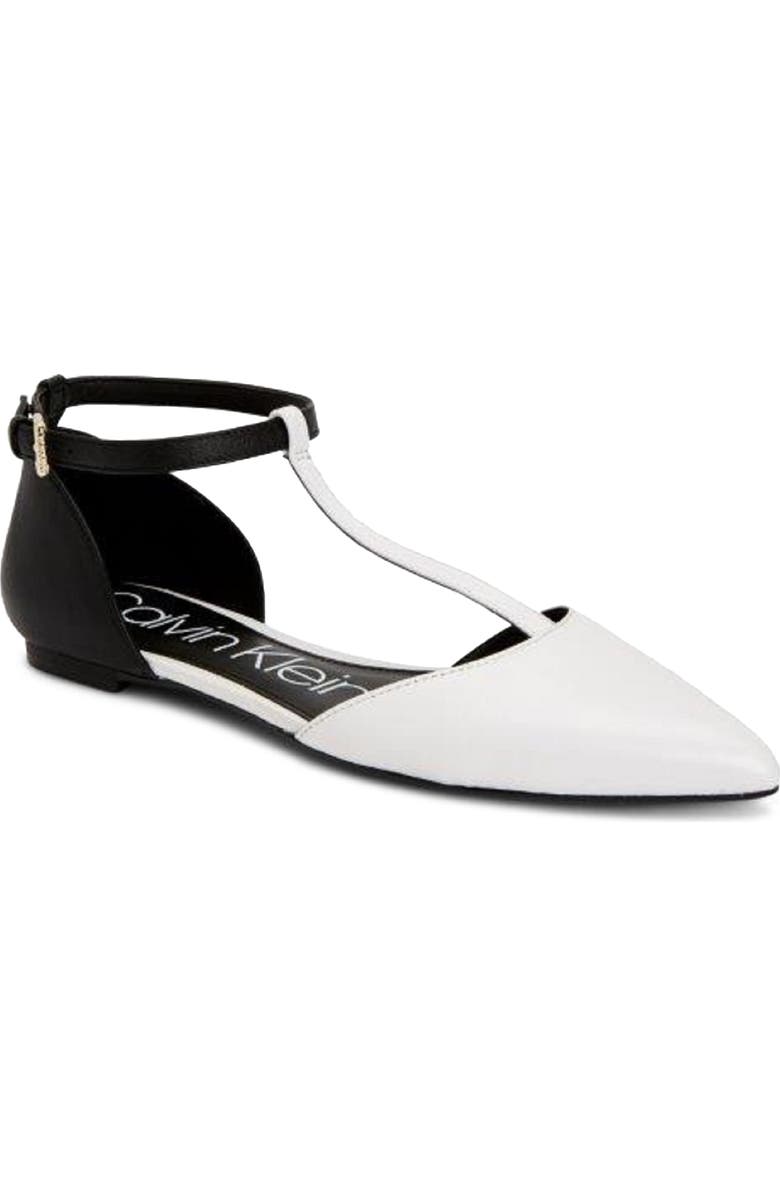 Calvin Klein 'Ghita' T-Strap Flat, Main, color,