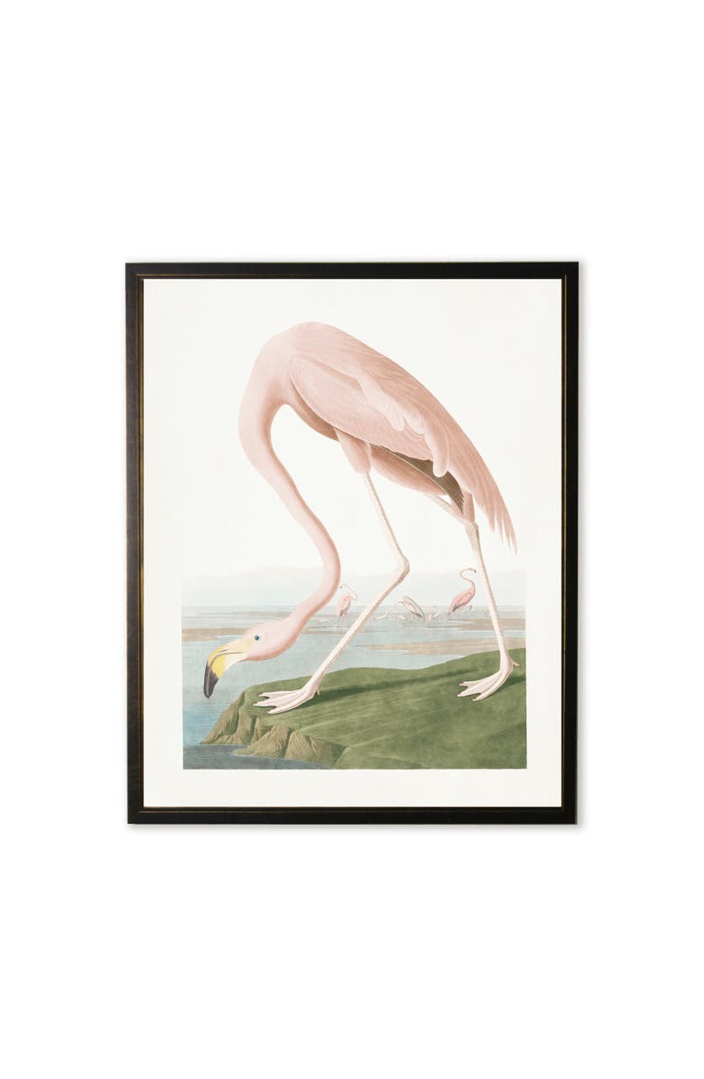 Antique Curiosities Flamingo in Black and Copper Frame, Main, color, Multi
