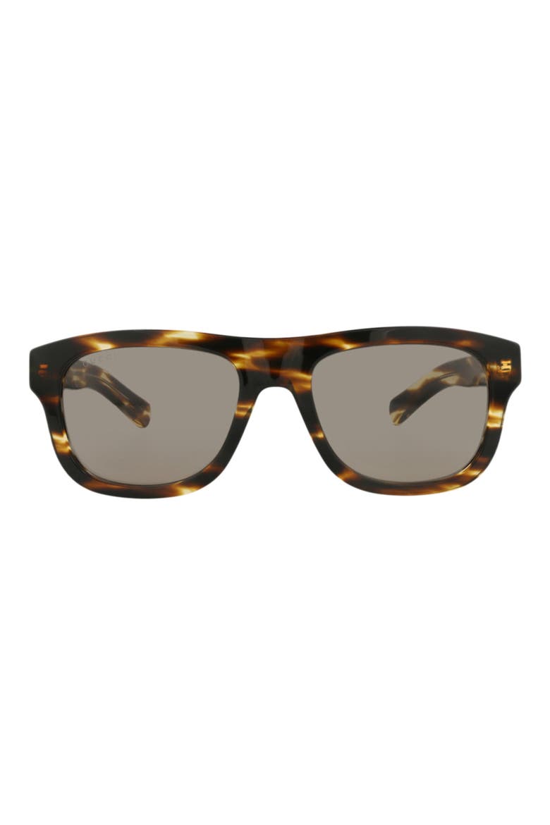 54mm Square Sunglasses, Main, color, HAVANA HAVANA BROWN