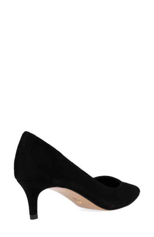 Pelle Moda Aeri Pointed Toe Kitten Heel Pump In Black