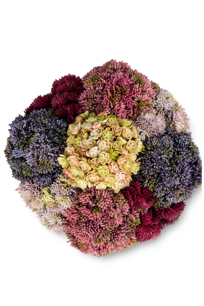 Beatrix Gold Sedum Arrangement, Alternate, color, Multi-Color