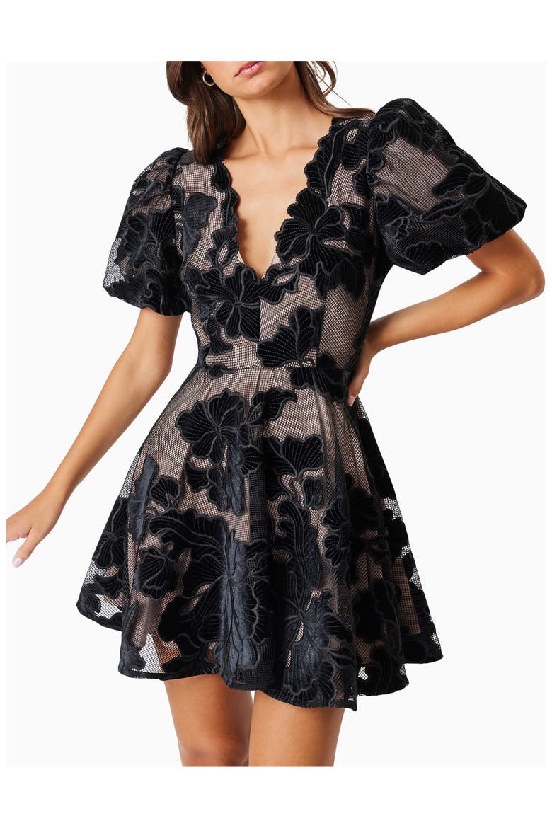 flared mini dress zara Elliatt Women's Zara Lace Fit & Flare Minidress - Pink