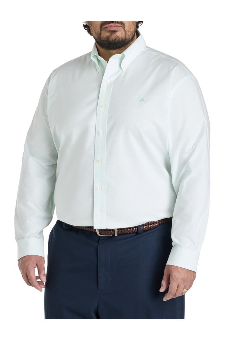 Big & Tall Non-Iron Oxford Sport Shirt, Alternate, color, BLEACHED AQUA