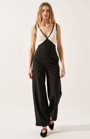 Modenaire Sleeveless Wide Leg Jumpsuit with Deep V-Neckline