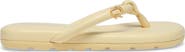 Gianvito Rossi Fiji Sandals