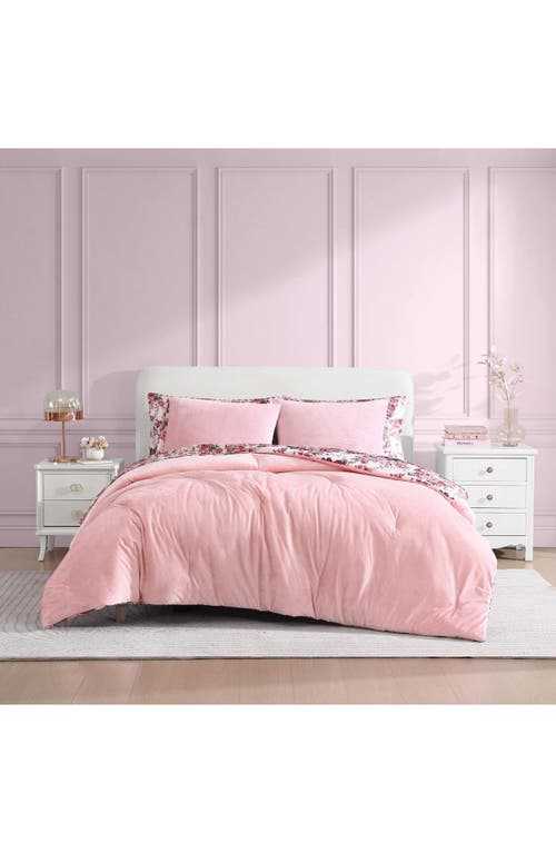 BETSEY JOHNSON BETSEY JOHNSON VELVET SOLID COMFORTER & SHAM SET