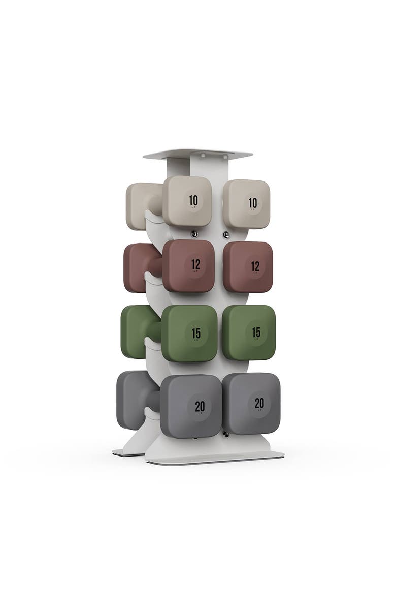 WeGym SafeGrip Dumbbells Upper Set with Light Rack - Rose - 10, 12, 15, 20lbs, Main, color, Multicolored