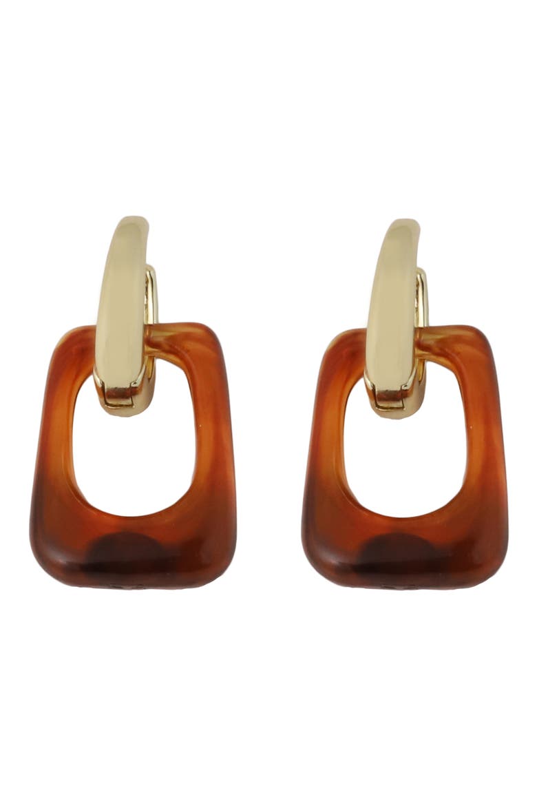 Rectangle Resin Drop Hoop Earrings, Main, color, BROWN
