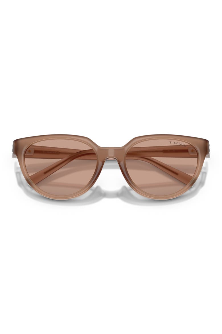 55mm Gradient Cat Eye Sunglasses, Alternate, color, COCA COLA SAPPHIRE / BROWN