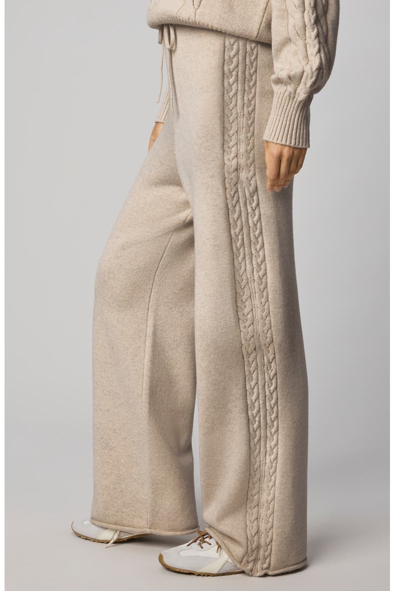 Jetset Sweater Pants, Alternate, color, CAPPUCCINO BROWN