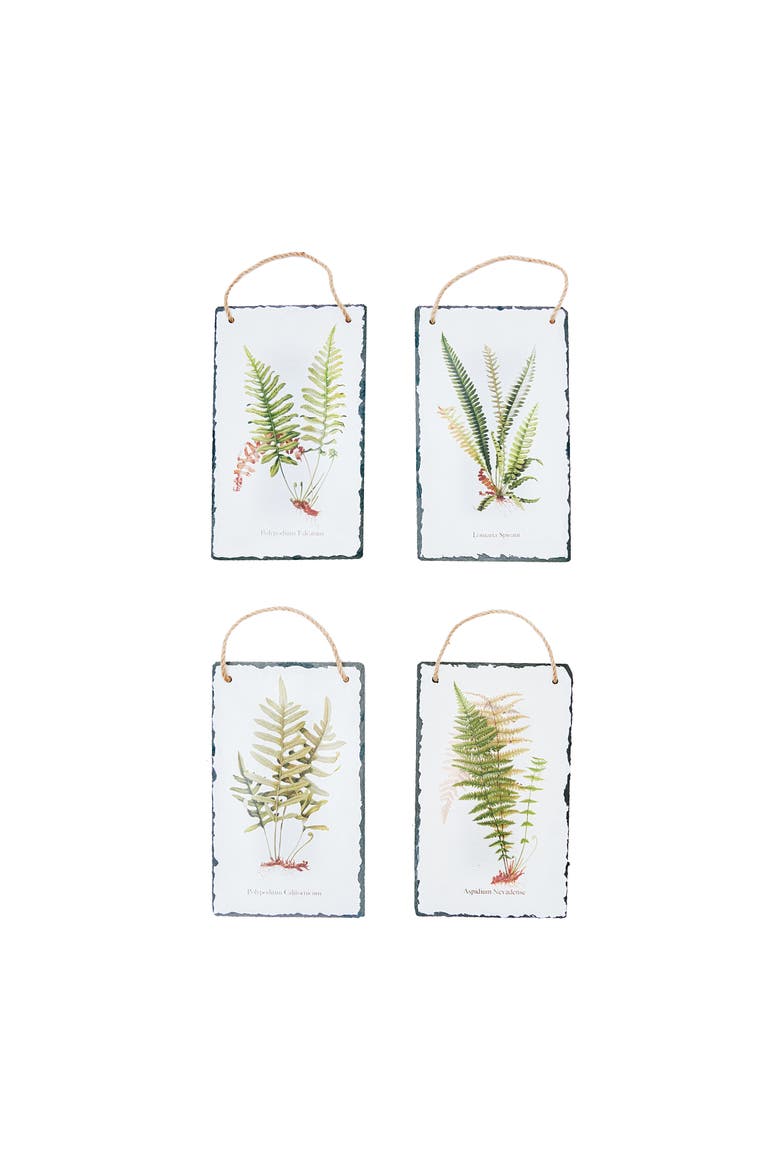 Fern Slate Hanging Assortment of 4 Wall Art Signs 7" x 11.75", Main, color, White
