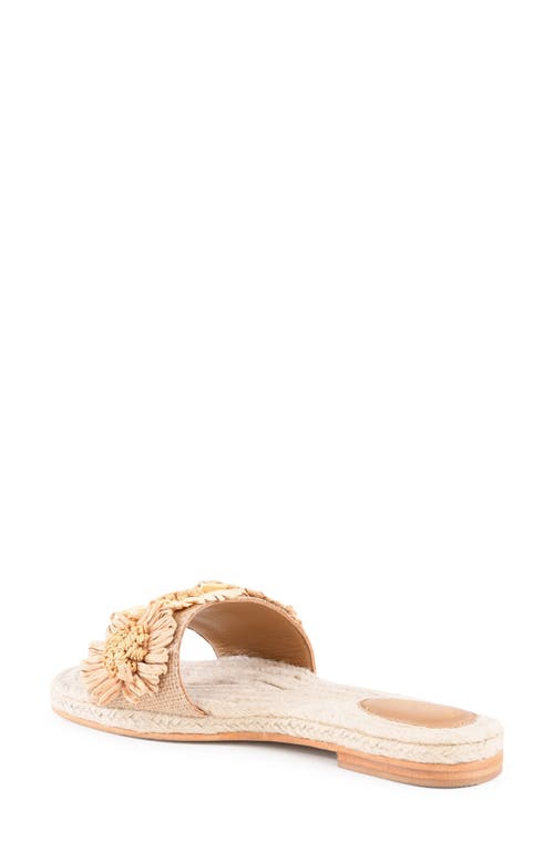 Seychelles Botanical Gardens Slide Sandal In White