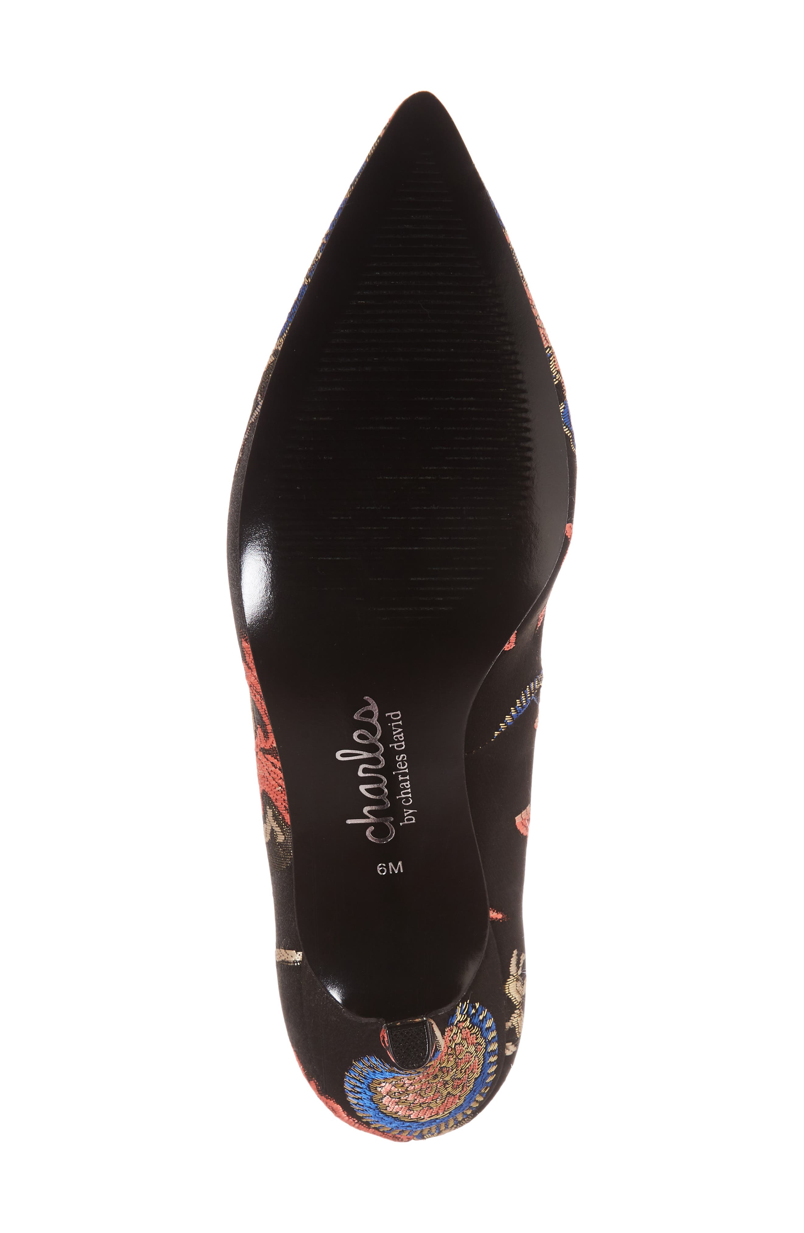 Charles by Charles David 'Sasha' Pointy Toe Pump, Alternate, color, 