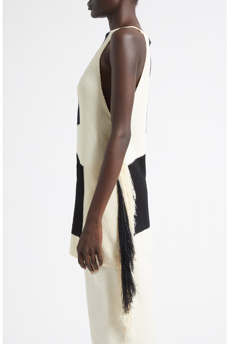 Saskia Colorblock Intarsia Textured Fringe Midi Sweater, Alternate, color, SAND MULTI