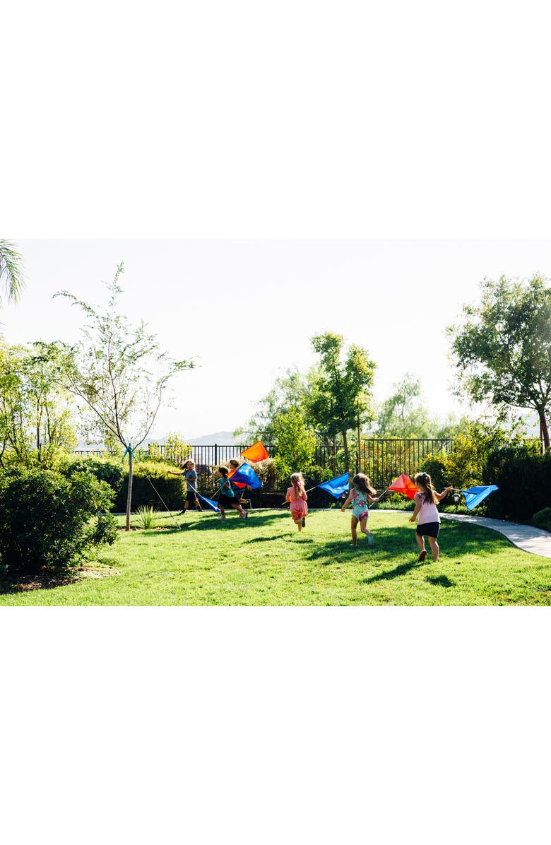 Pacific Play Tents 12-Pack Color Flags, Alternate, color, Blue