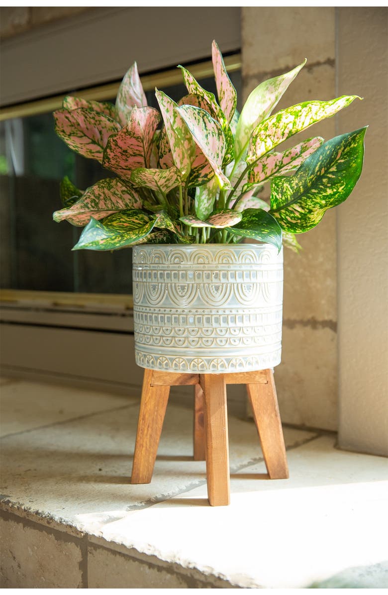 FLORA BUNDA 10" & 8" Aqueduct Ceramic Planter on Wood Stand - Set of 2, Alternate, color,