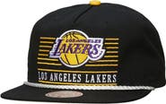 Mitchell & Ness Men's Mitchell & Ness Black Los Angeles Lakers Ascend Deadstock Snapback Hat