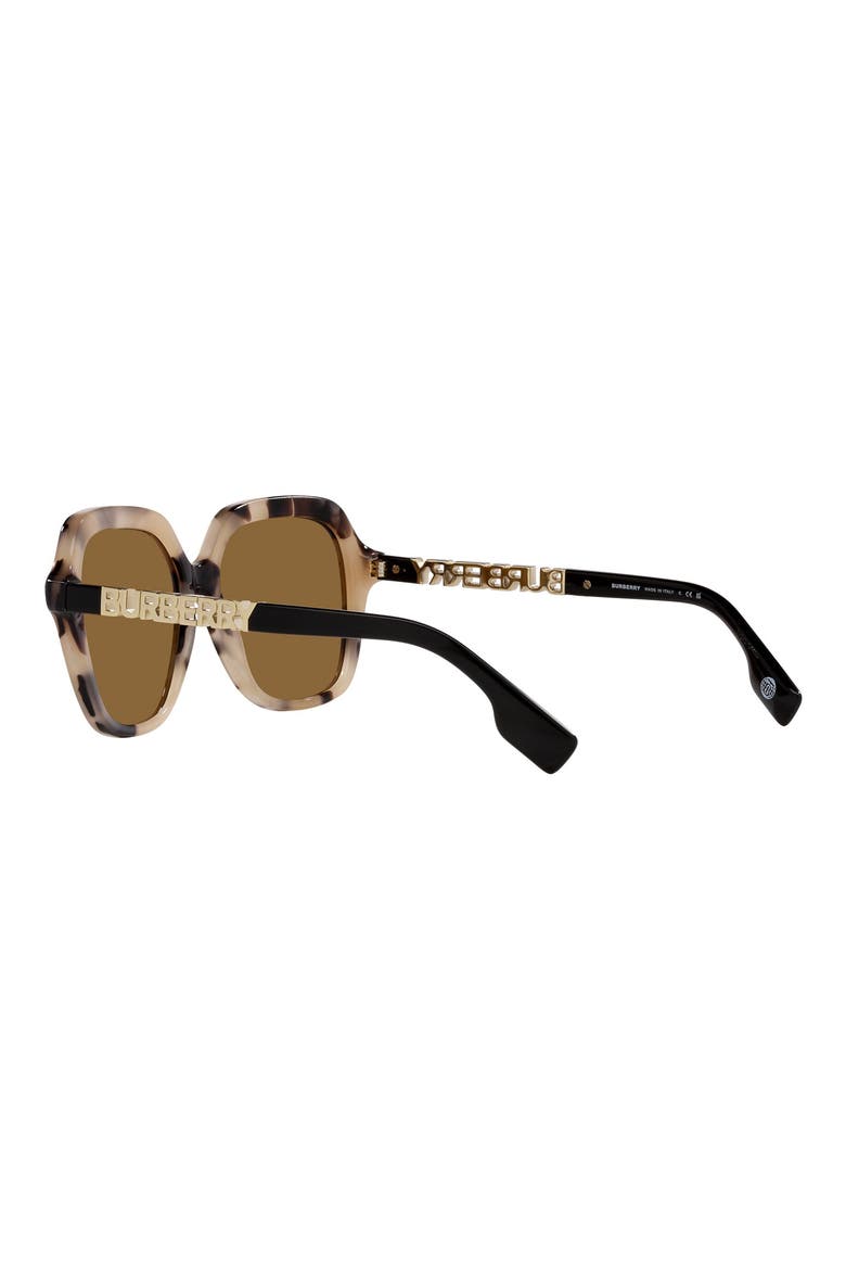 Joni 55mm Square Sunglasses, Alternate, color, SPOTTED HORN