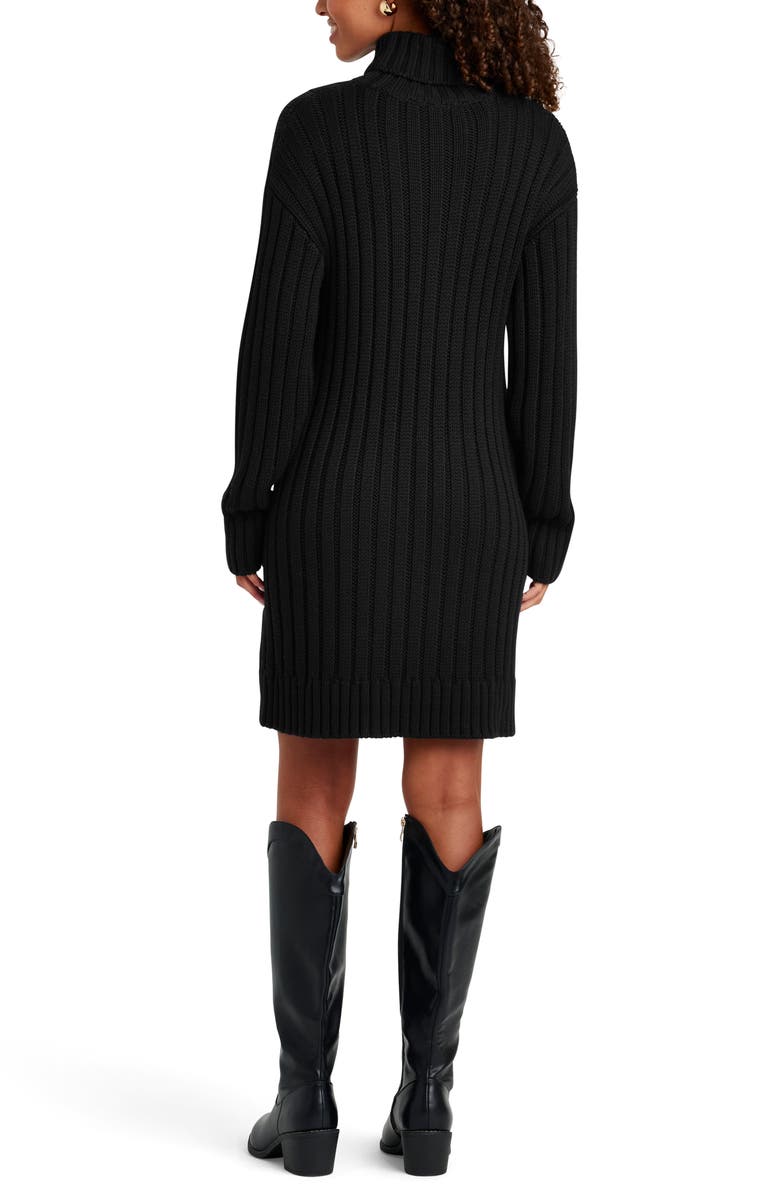 Splendid Felicity Turtleneck Long Sleeve Mini Sweater Dress, Alternate, color,