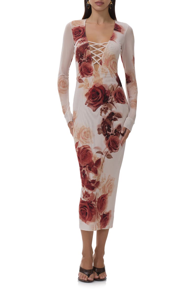 Cambria Print Long Sleeve Mesh Midi Dress, Alternate, color, SEPIA ROSES