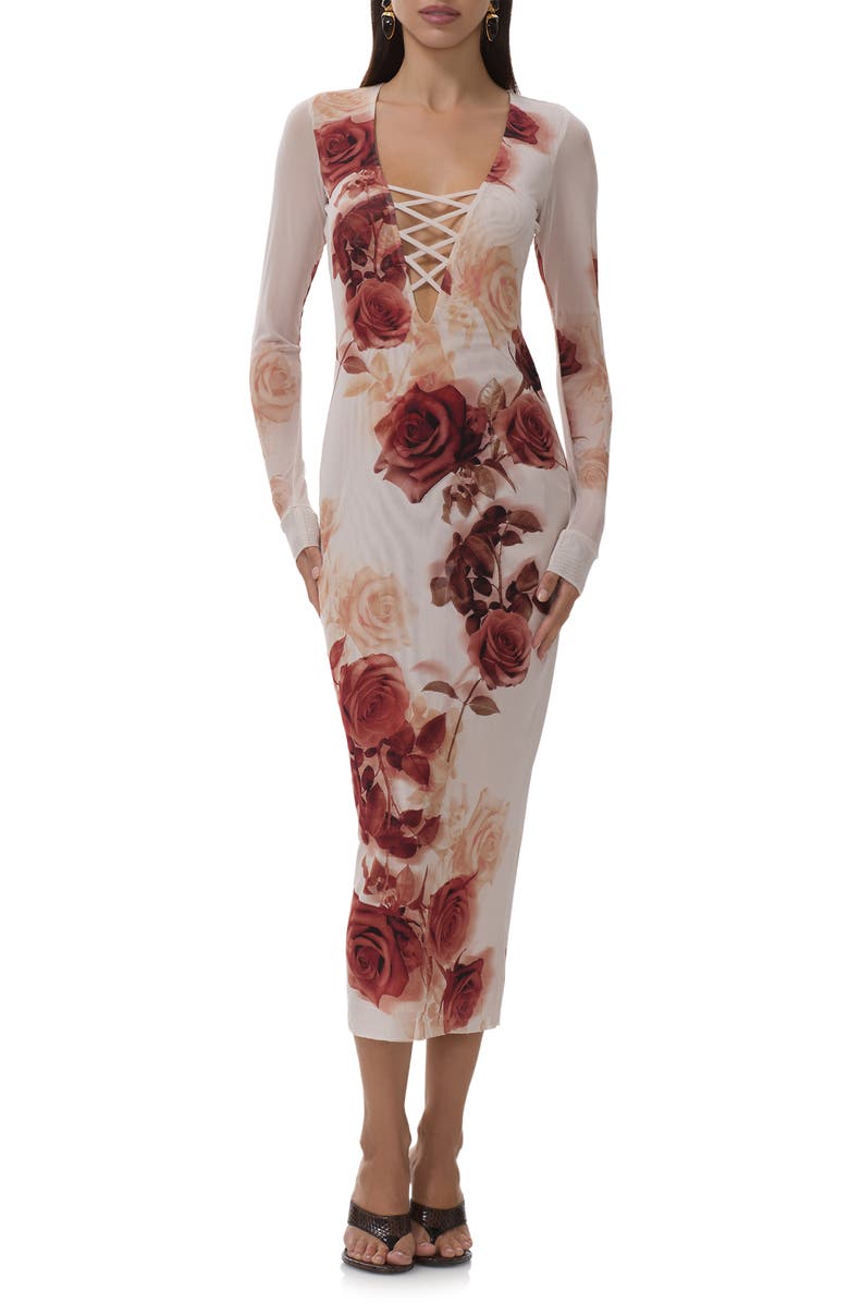 AFRM Cambria Print Long Sleeve Mesh Midi Dress, Alternate, color, Sepia Roses