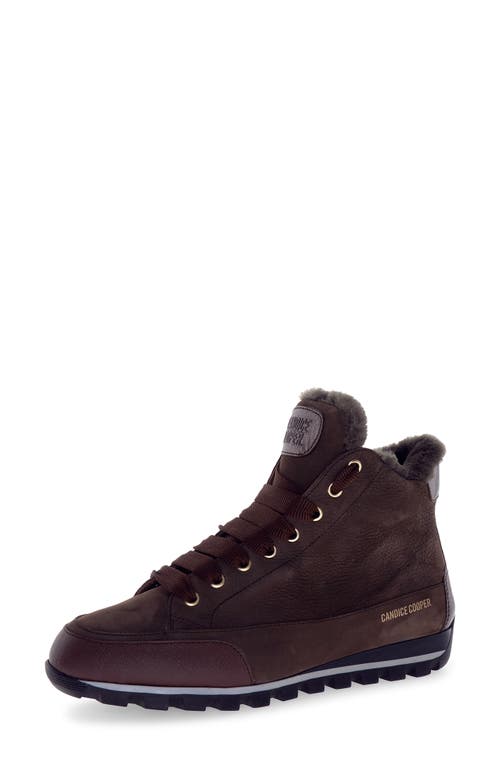 Candice Cooper Runlo Waterproof Genuine Shearling Lined High Top Sneaker In Multi