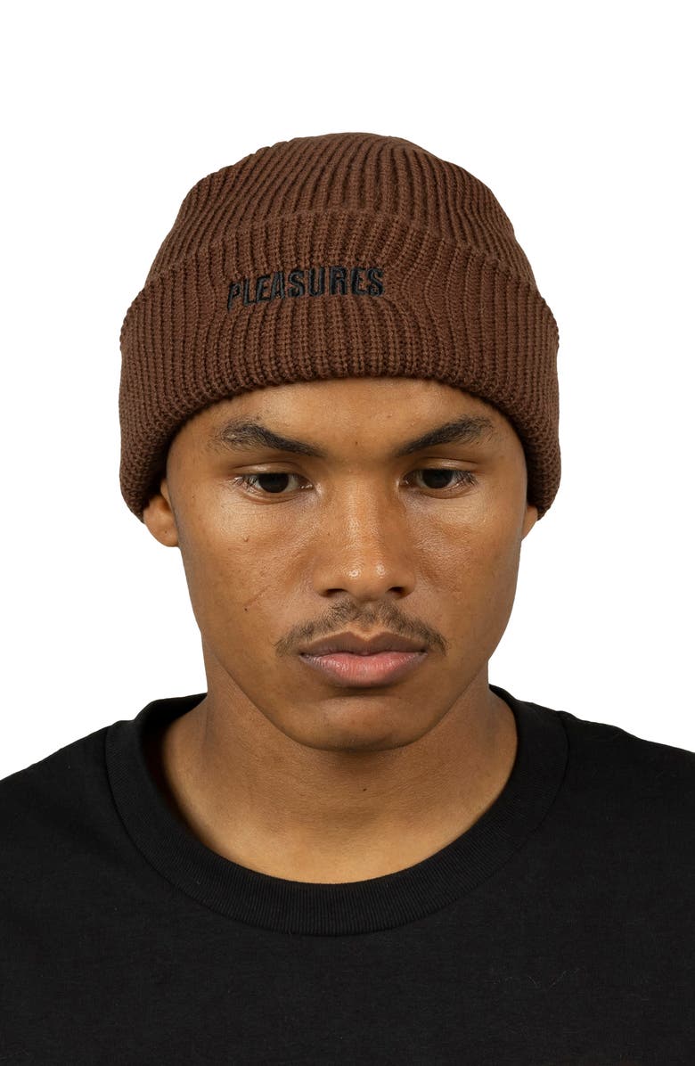 PLEASURES Everyday Logo Embroidered Beanie, Alternate, color, 