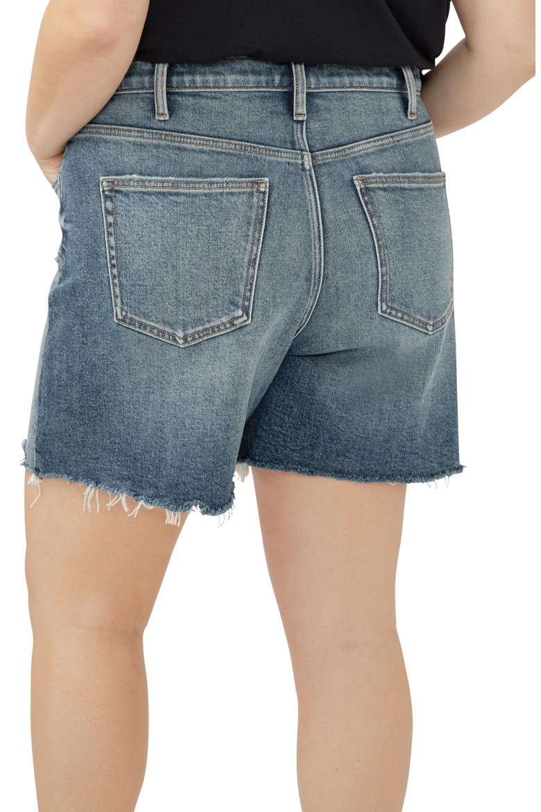 Highly Desirable High Waist Raw Hem Denim Shorts, Alternate, color, INDIGO