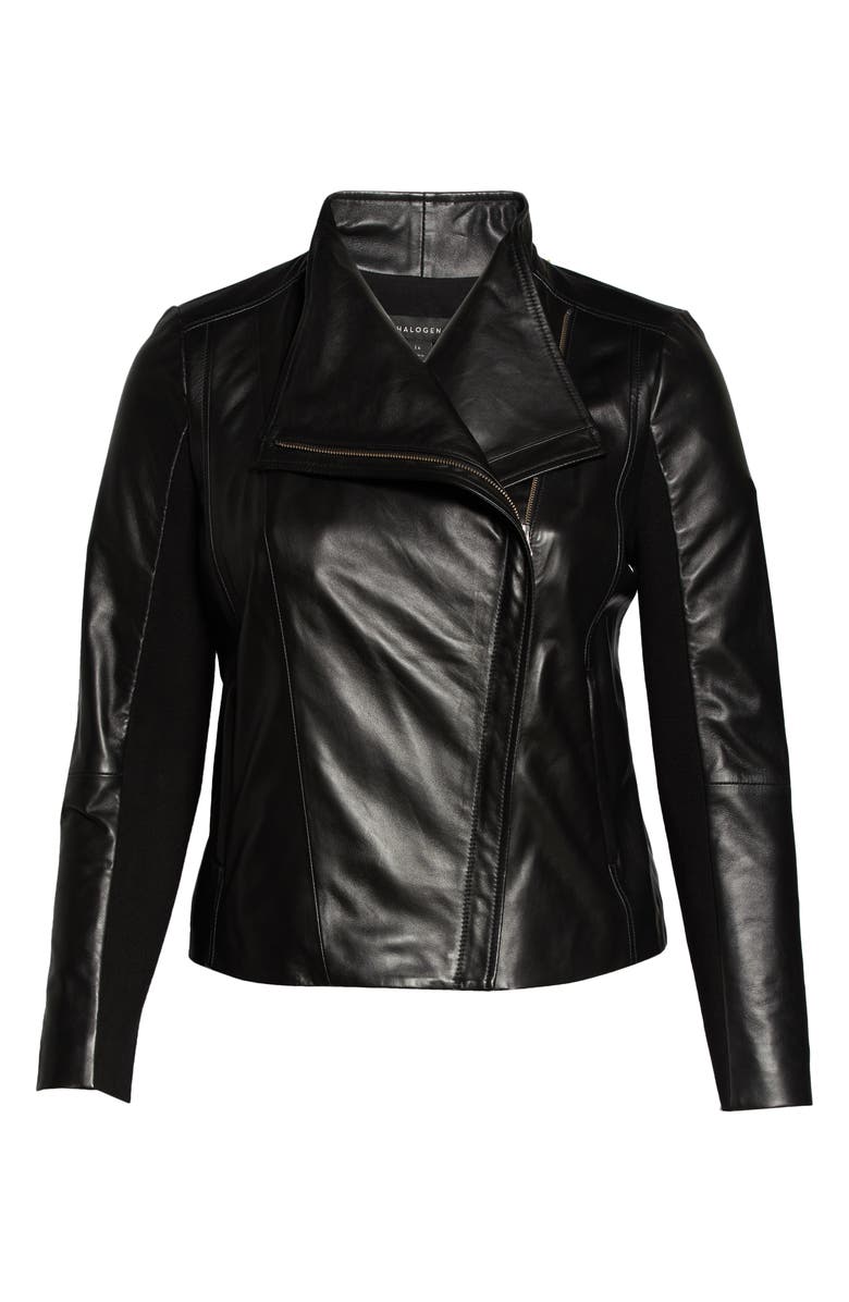 Halogen<sup>®</sup> Leather Moto Jacket, Alternate, color, 