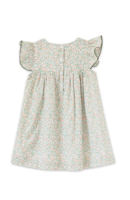 Beet World Girls Hannah Dress With Flutter Sleeves In Pastel Green And Peach
