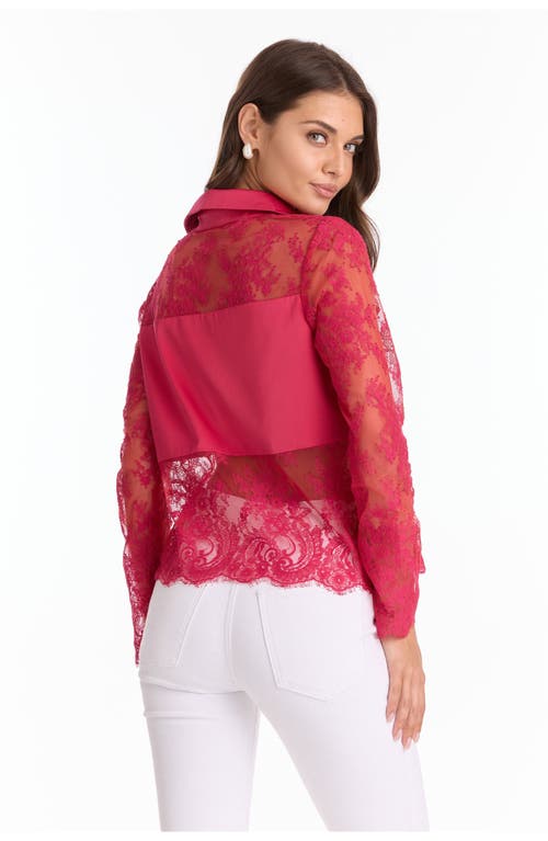 The Noli Shop Vienna Lace Blouse In Pink