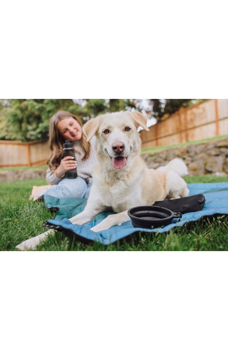 Oniva Tarana Dog Travel Kit - Carbon Black, Alternate, color, Carbon Black