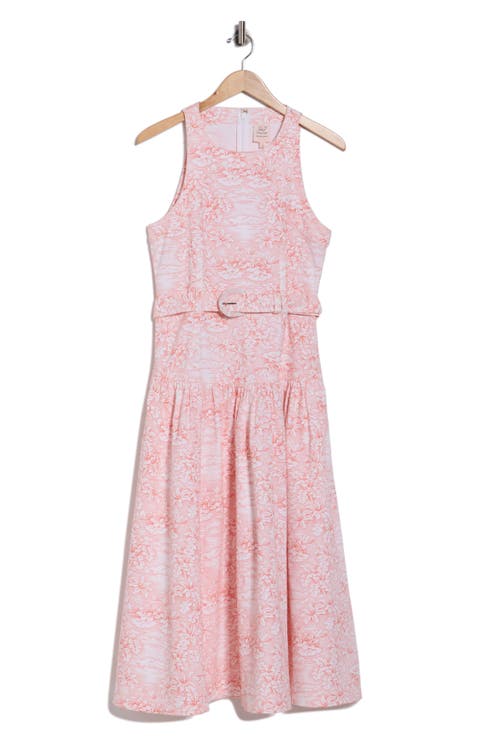 Zoey Sleeveless Belted Stretch Cotton Toile Dress