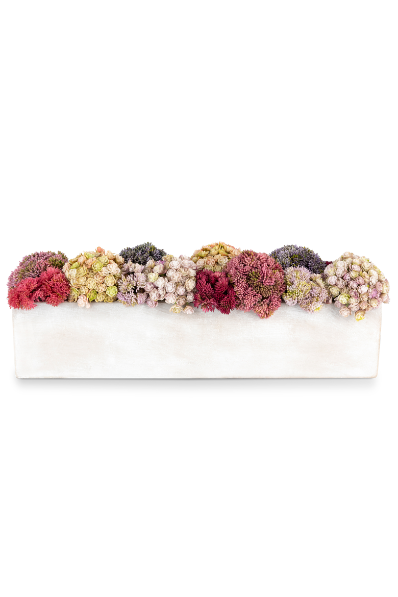 Arden Oblong Sedum Arrangement, Alternate, color, Multi-Color