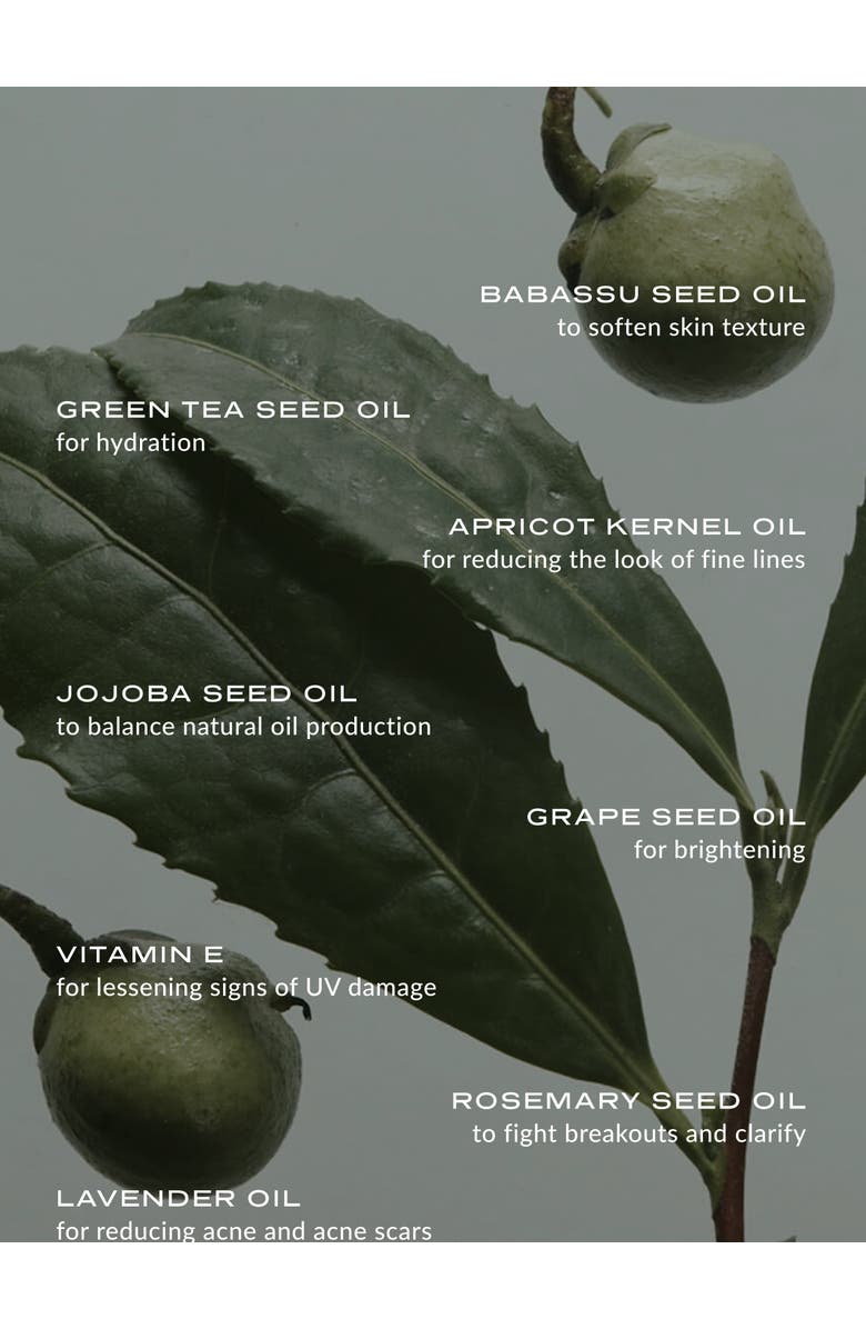 WYLYS Phyto Green Cleansing Balm & Jade Spatula, Alternate, color, NO COLOR